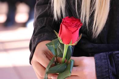 Pomen i polaganje vijenaca na Spomen-ploču