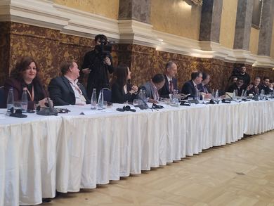 Docent Nina Sajić, PhD, at a conference in Budapest