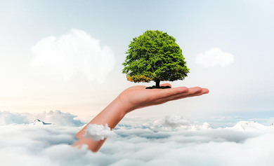 Стипендије Њемачке фондације за околину