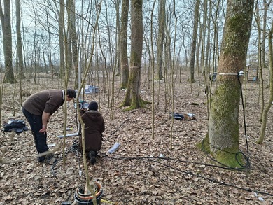 Дендрометри први пут на овим просторима